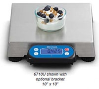 6710U POS Bench Scale