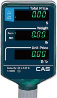 CAS scale with pole